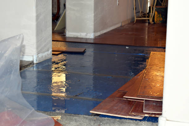 Professional Burst Pipe Cleanup technician working in Grafton, IL